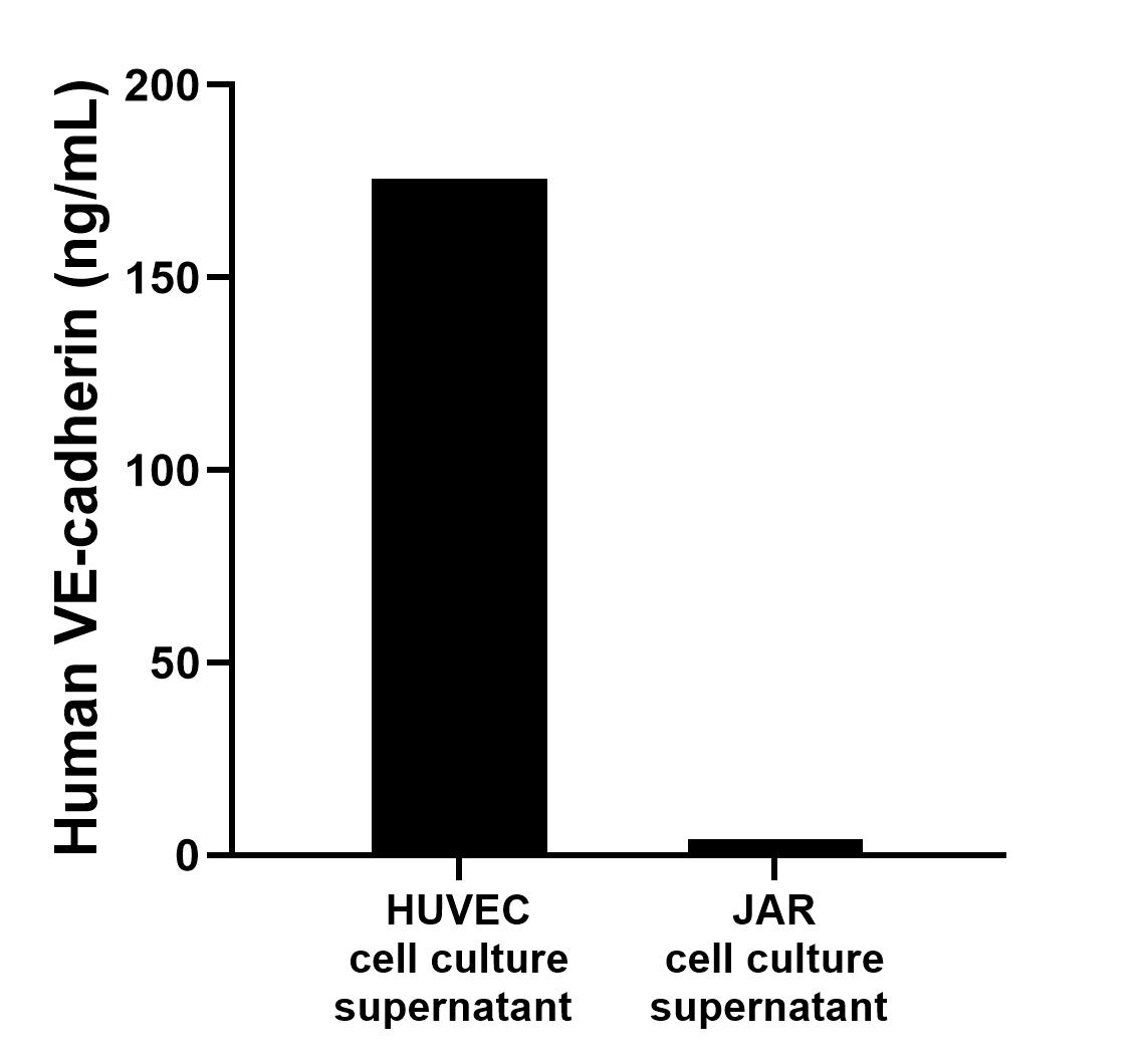 HUVEC were cultured in DMEM supplemented with 10% fetal bovine serum, 2.5 mM L-glutamine, 100 U/mL penicillin, and 100 μg/mL streptomycin sulfate. An aliquot of the cell culture supernate was removed, assayed for human VE-cadherin/CD144, and measured 175.74 ng/mL. JAR were cultured in DMEM supplemented with 10% fetal bovine serum, 2.5 mM L-glutamine, 100 U/mL penicillin, and 100 μg/mL streptomycin sulfate. An aliquot of the cell culture supernate was removed, assayed for human VE-cadherin/CD144, and measured 4.13 ng/mL.